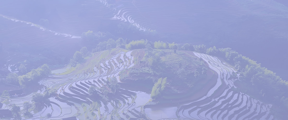华文软件集团横幅图片3