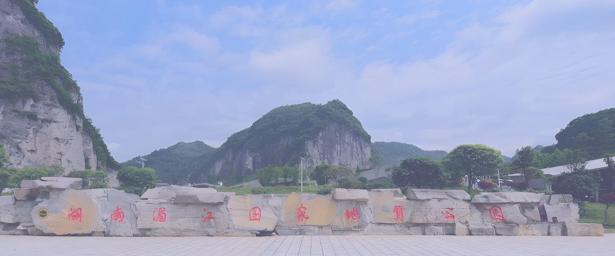 华文软件集团横幅图片5
